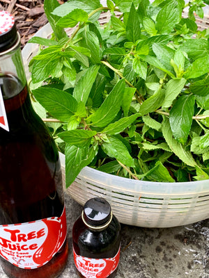 Bowl of peppermint leaves with bottles of Tree Juice Candy Cane Maple Syrup