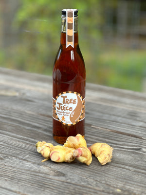 Gingerbread Maple Syrup 12oz bottle