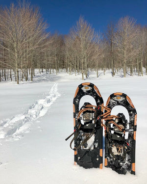 Snowshoes in the snow