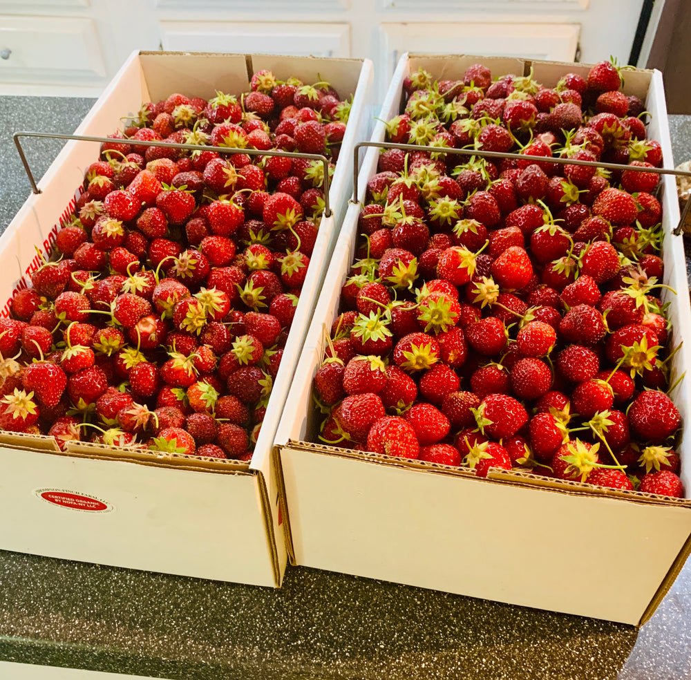 two boxes full of fresh strawberries