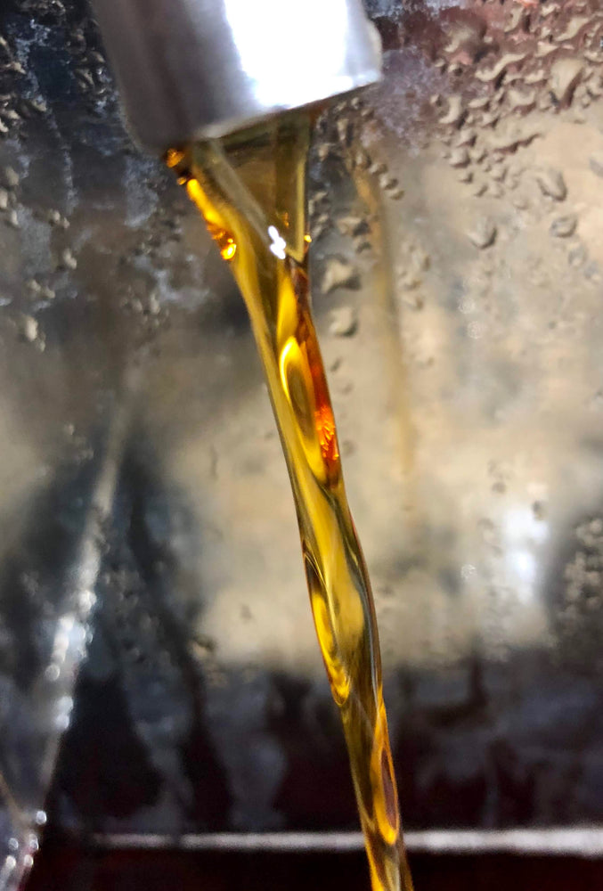 Maple Syrup flowing