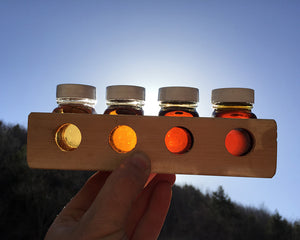 Four grades of maple syrup held up to the sun