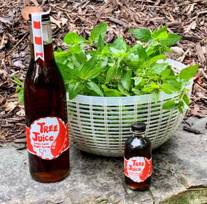 Bowl of peppermint leaves with bottles of Tree Juice Candy Cane Maple Syrup